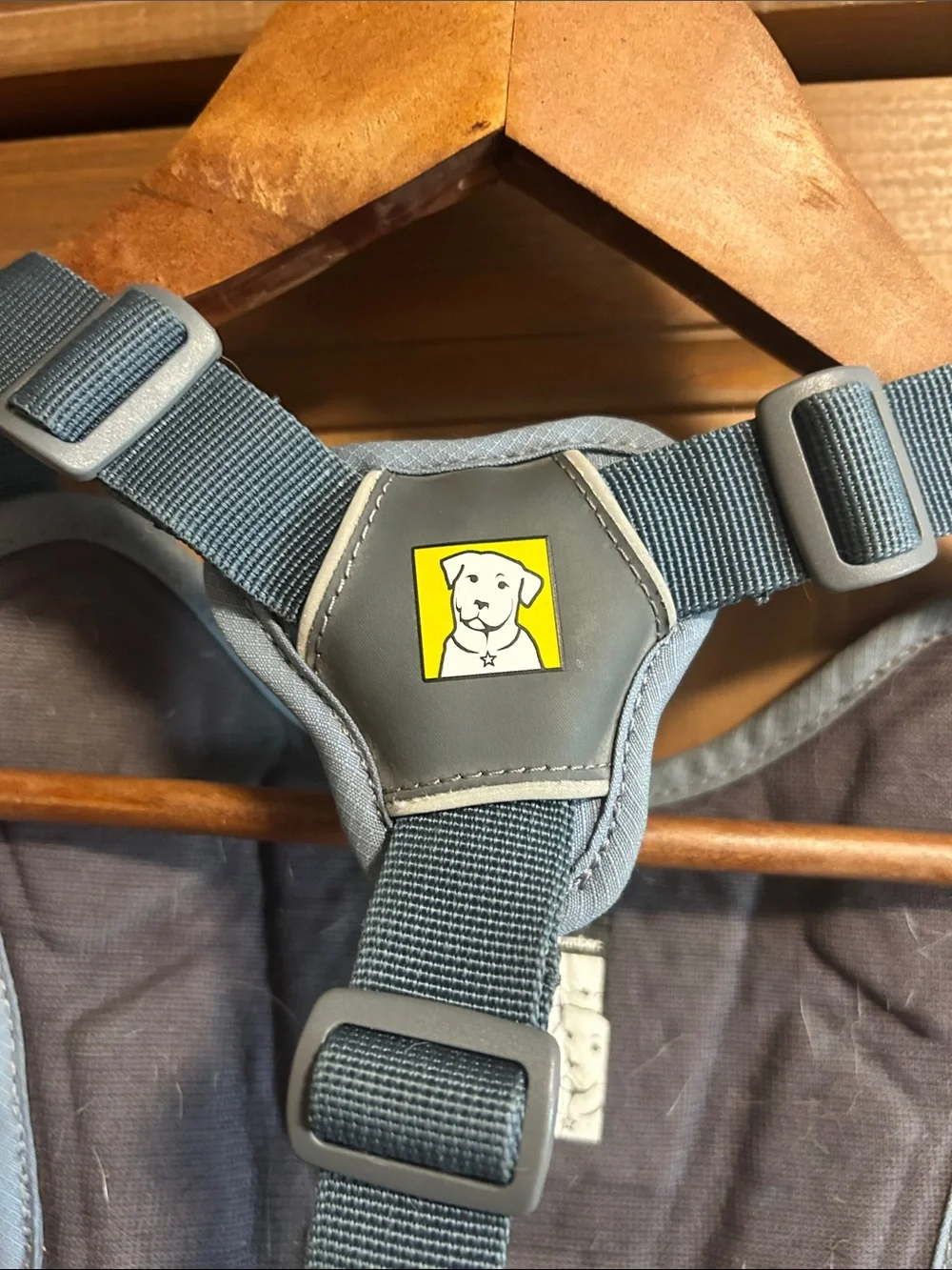 RUFFWEAR Web Master Dog Harness -Light Blue Dog Harness with Orange Trim, small
